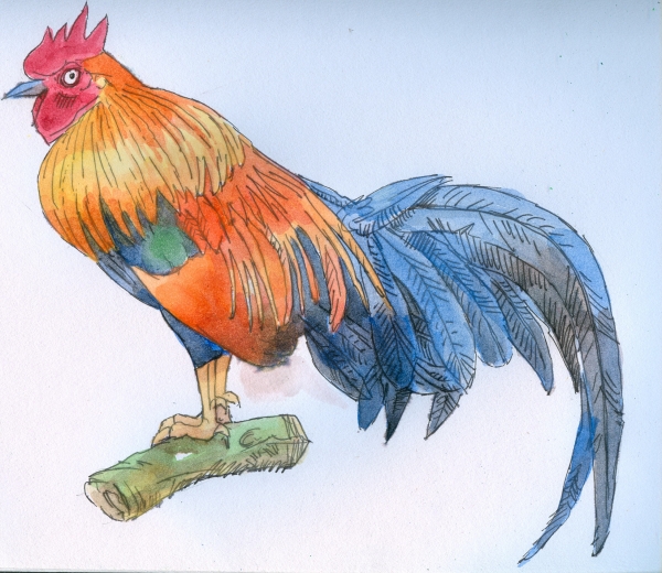 Creation of cock: Step 3
